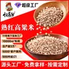 Nuevo Arroz de Sorgo Rojo al por Mayor a Granel, Materias Primas para Moler Leche de Soya, Arroz de Sorgo Rojo Pelado del Noreste, Cocido