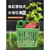 Cesta de Plantio Hidropônico para Aquário Suporte de Parede Copo para Plantas Aquáticas Cesta de Plantio para Plantas Aquáticas Emergentes Acessórios de Decoração para Paisagismo de Aquário