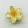 Pinza de Garra de Plumeria Europea y Americana Pinza Lateral de Flor Navideña para Mujeres Recogido en la Parte Trasera de la Cabeza Pinza de Tiburón Pinza para el Cabello Transfronteriza Venta al por Mayor