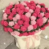 Manta con Esquina Puntiaguda de Ramo de Rosas, Kit de Materiales de Hilo Hecho a Mano, Manta Creativa de Flores de Ganchillo Regalo