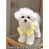 25 Estilos Nuevos de Ropa para Mascotas para Perros y Gatos: Teddy, Bichón, Maltés, Ropa de Casa para Cachorros, Vestidos de Princesa, Ropa para Pomerania