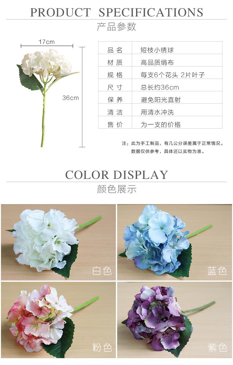 小绣球详情_02