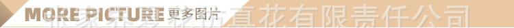 3头豆花紫藤_18.jpg