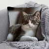 Funda de almohada para sofá transfronteriza, felpa corta agradable a la piel, funda de almohada de gato animal lindo, funda de cojín para sala de estar, no incluye relleno