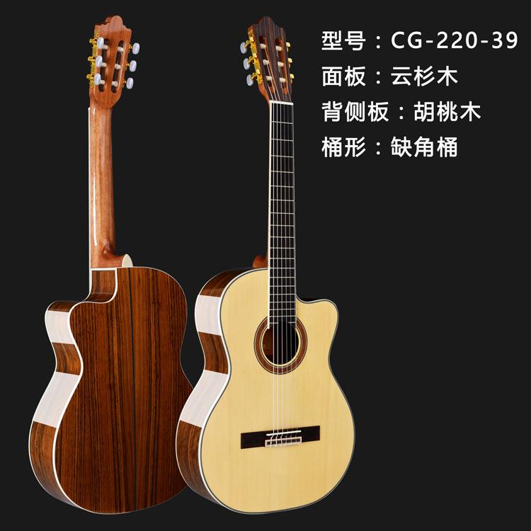 CG-220-39副本
