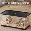 Gaiola de Hamster com Tampa Acrílico Transparente Combinação Super Espaço Grande Gaiola Ornamental Paisagem para Iniciantes Criativa Luxuosa Villa