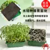 Blocos para Mudas Hidropônicas Atacado, Blocos de Substrato para Cultivo Sem Solo, Estéreis, Respiráveis, Retentores de Água, Promotores de Raízes, Sementes de Vegetais para Brotar