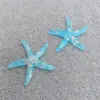 Cola de Concha de Pescado Estrella de Mar Serie Oceánica Accesorios de Resina Hecho a Mano DIY Parche para Funda de Teléfono Móvil Accesorios para Pasadores de Pelo