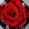 Caixa de Joias com Flor Real Rosa Imortal e Luz, Gaveta Dupla de Acrílico para Anel, Colar, Caixa de Presente