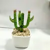Adornos de Escritorio Hechos a Mano de Flor de Jacinto Suculento Esmaltado Decoración de Maceta de Planta Artificial de Vidrio Micro Paisaje Creativo