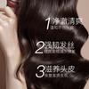 Set de Champú Rey Jengibre Viejo al por Mayor, Crema para Lavar el Cabello con Jugo de Jengibre, Mascarilla Acondicionadora Suavizante Anti-Caspa y Anti-Picazón