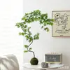 Bonsái de Arce de Agua Corriente con Forma Planta Verde Purificadora de Aire Adorno Decorativo Estilo Zen Chino para Sala de Estar Fácil de Cultivar para Principiantes Bonsái