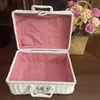 Bolso de Mimbre Sintético Cesta Tejida Caja de Almacenamiento para Picnic Fuente de Almacenamiento Fabricante Mimbre Hecho a Mano Almacenamiento Minimalista Moderno