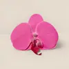 Orquídea Phalaenopsis Flor Cabeza Ramillete Flor de Regalo Pasador de Flor Cabeza de Flor Flor Artificial DIY