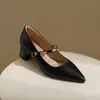 Zapatos de Salón de Tacón Grueso Estilo Francés Modelo Nuevo 2026 Mary Jane Tacón Grueso Tacones Altos Zapatos de Mujer con Correa Única