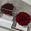 Flores Eternas al por Mayor, Nueva Caja de Regalo de Flor Gigante Única de Acrílico, Regalo de San Valentín, Flores Secas