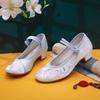 Elegante Tacón Cuadrado Nuevo con Zapatos Cheongsam y Hanfu, Zapatos Individuales de Estilo Étnico, Zapatos Bordados