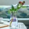 Estilo Nórdico Ins Vidrio Transparente Galvanizado Florero Pequeño Venta al por Mayor Mesa de Sala de Estar Arreglo Floral Decoración Flores Secas