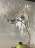 Ramas de árbol secas para paisajismo, árboles de los deseos, árboles muertos, decoraciones de patios interiores, ramas de árbol, troncos y árboles decorativos.