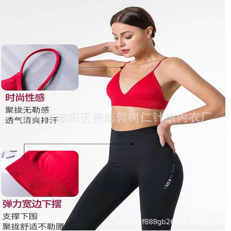 微信图片_202305162325081_副本