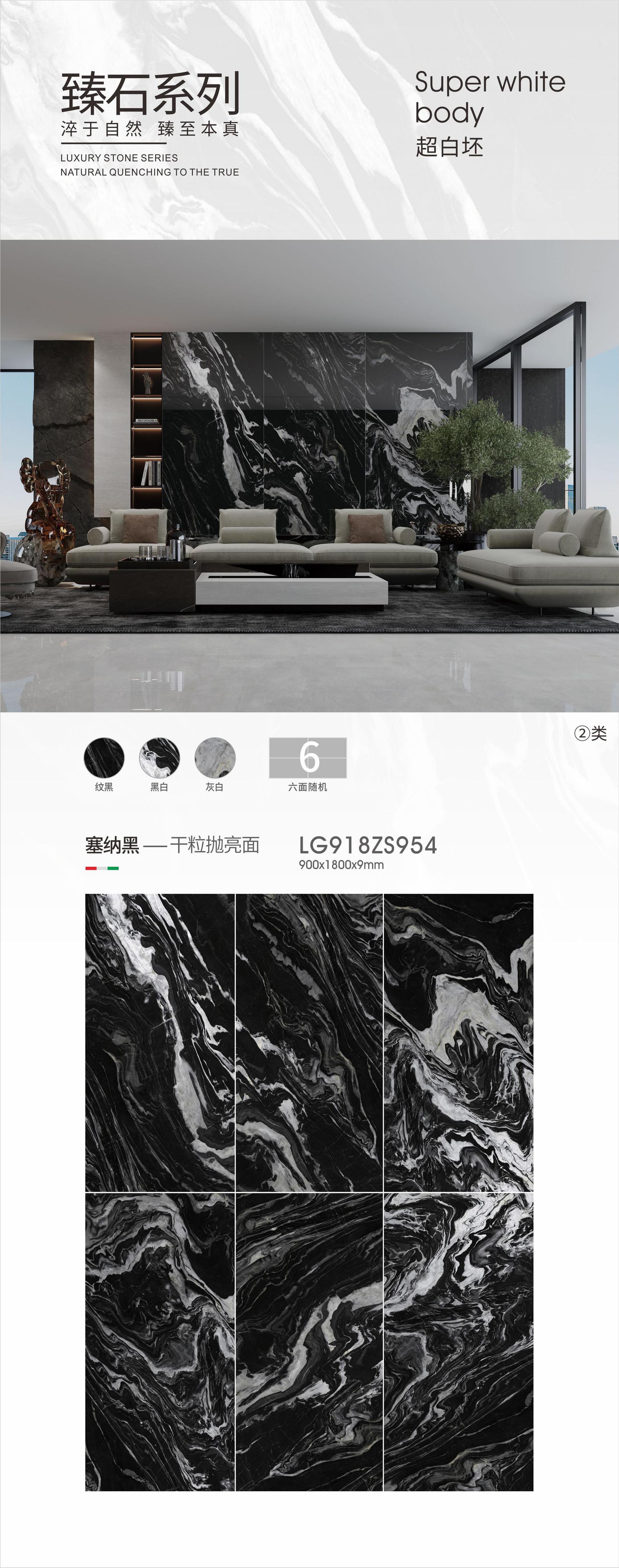 塞纳黑LG918ZS954.jpg