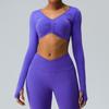 Roupa de yoga sem costura outono e inverno transfronteiriça top feminino slim fit modelador T-shirt curta de manga longa secagem rápida roupas esportivas para fitness