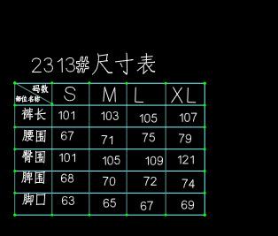2313