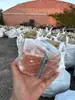 Blocos de Sal, Sal para Gado, Bovinos, Cavalos, Ovelhas Lamber Sal, Blocos de Lamber, Sal do Himalaia, Sal Rosa, Blocos de Sal Mineral, Blocos de Lamber do Paquistão