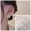 Brincos de diamante opala femininos estilo coreano simples moda versátil presente para namorada barraca feira noturna Joias com borla de flor
