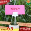 Más tarjeta de carne tarjeta de etiqueta de jardinería tarjeta tarjeta tarjeta letrero de jardinería etiqueta/tarjeta de planta c-004