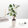 Bonsái de 6 rosas de estilo pastoral simple, flores falsas, decoración de interiores, suministro directo de fábrica, planta en maceta de simulación.
