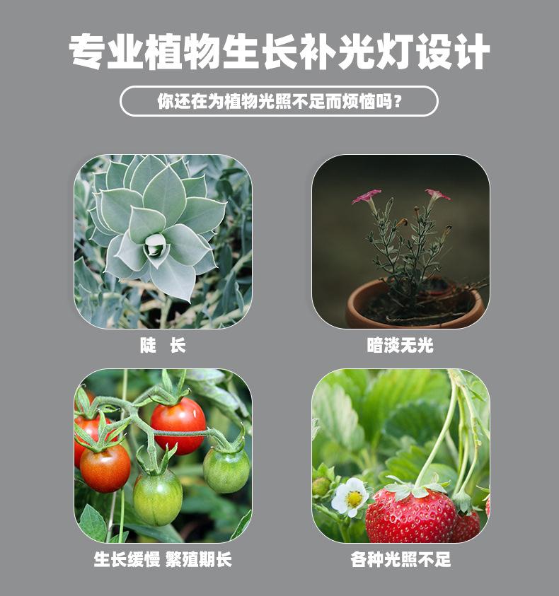 吉光详情页_02.jpg