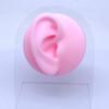 Gaby Europa y Estados Unidos transfronterizo silicona suave simulación modelo de órgano modelo rosa accesorios de exhibición para enseñanza médica