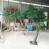 Escena de Recepción de Hotel Estrella Árbol de Pino Artificial Grande Pino Acogedor Casa de Campo Pino Aguja de Pino Artificial Árbol de Pino Falso