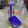 Balanza Digital de Plataforma con Barandilla 500/600 kg con Ruedas, Balanza Blindada para Exportación y Almacén de Comercio Exterior, Pesaje y Precios