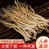 Raíces de Ginseng Blanco de la Montaña Changbai, Raíces de Ginseng de Seis Años para Remojar en Agua y Hacer Sopa, Raíces de Ginseng Crudas Secadas al Sol de Jilin, Piel Original, Directo del Lugar de Origen, Disponible para Dropshipping