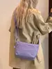 Bolso de hombro nuevo de nailon, bolso de mujer moderno y popular, de alta gama, gran capacidad, bolso cruzado versátil, ligero e impermeable