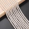 Pérolas Perfuradas Coloridas de Alto Brilho Pérolas de Imitação ABS Pérolas de Imitação Pérolas Shijia Materiais para Joias DIY Acessórios para Roupas
