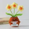 Flor de Tricô de Energia Positiva Transfronteiriça Planta em Vaso Produto Acabado Fio de Lã Flor de Simulação Ornamento de Mesa Boneca de Cartão de Mão