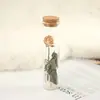 Garrafa dos Desejos Tubo de Ensaio Flores Secas Mini Buquê Espécime O Pequeno Príncipe Rosa Flor Real Ornamento Presente para Melhor Amigo Amigo