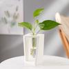 Estilo Ins Madera Hidropónico Planta Verde Tubo de Ensayo Marco de Madera Muestra de Agua Arreglo Floral Adornos Escritorio Jarrón de Vidrio Adornos para el Hogar