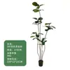 Estilo de Lujo Ligero Planta Verde Simulada Árbol de Caucho Diamante Negro Plantas Falsas Decorativas de Pie para Sala de Estar Balcón Paisajismo