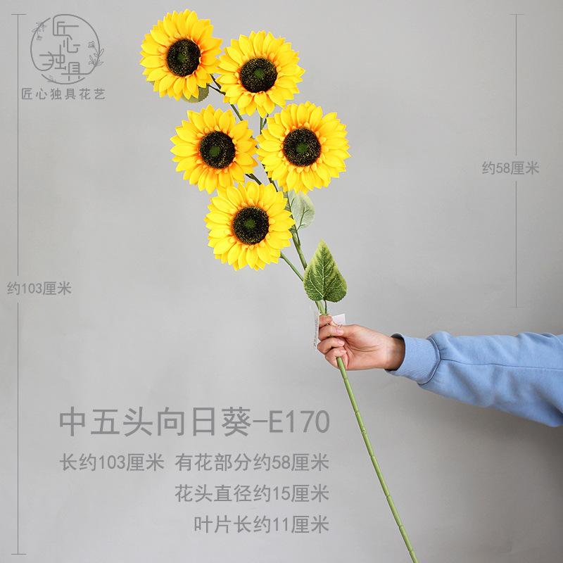 中五头向日葵 E170