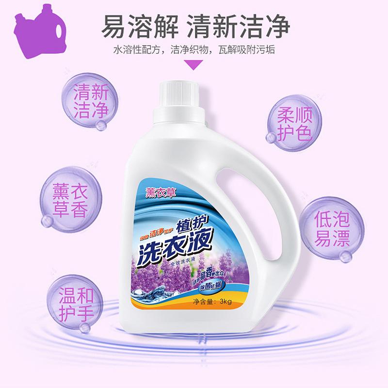Laundry 薰衣草洗衣液 HC20001-09