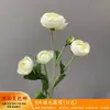 Decoración de Boda con Flores Blancas, Peonías, Phalaenopsis, Rosas, Arreglos Florales de Techo y Arreglos Florales Negros para el Salón de Bodas
