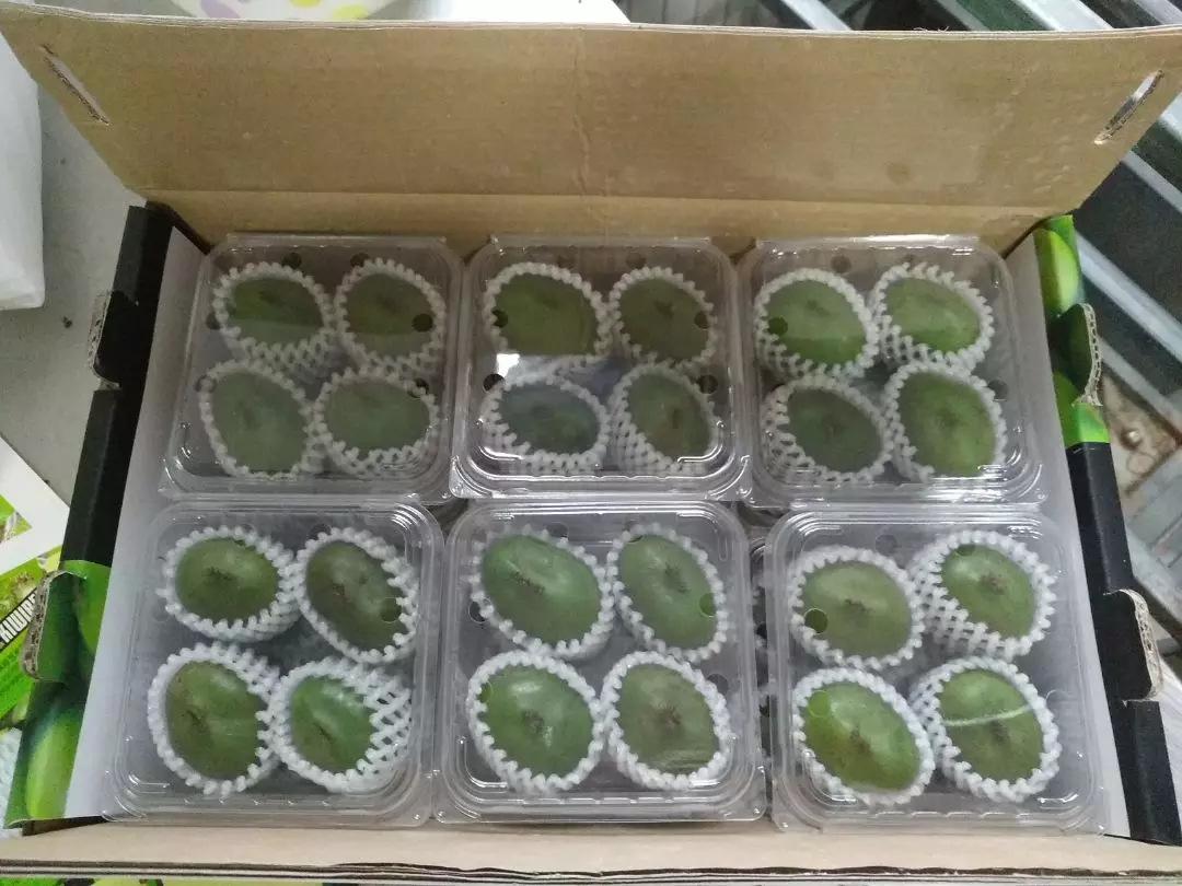 水果泡沫网套 (10)