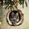 Adornos de Árbol de Acrílico Nuevos Transfronterizos para Animales Colgantes de Árbol de Navidad Impresión Plana de Mapache Decoraciones Colgantes