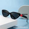 Gafas de Sol Ojo de Gato Nuevas de Celebridad de Internet 2023 Look Adelgazante Europeo y Americano Tendencia Accesorios de Estrella Patillas Gafas de Sol Versátiles de Alta Gama