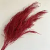 Atacado de Grama Eterna do Fabricante para Casamento e Decoração de Casa DIY Materiais Florais, Grama de Cabelo Longo para Flores de Arte Penduradas
