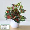 Plantas de Potos Simuladas, Plantas Verdes Falsas, Adornos de Flores Simuladas, Café Internet, Sala de Estar, Dormitorio, Club de Hotel, Adornos de Plástico, Envío Gratis